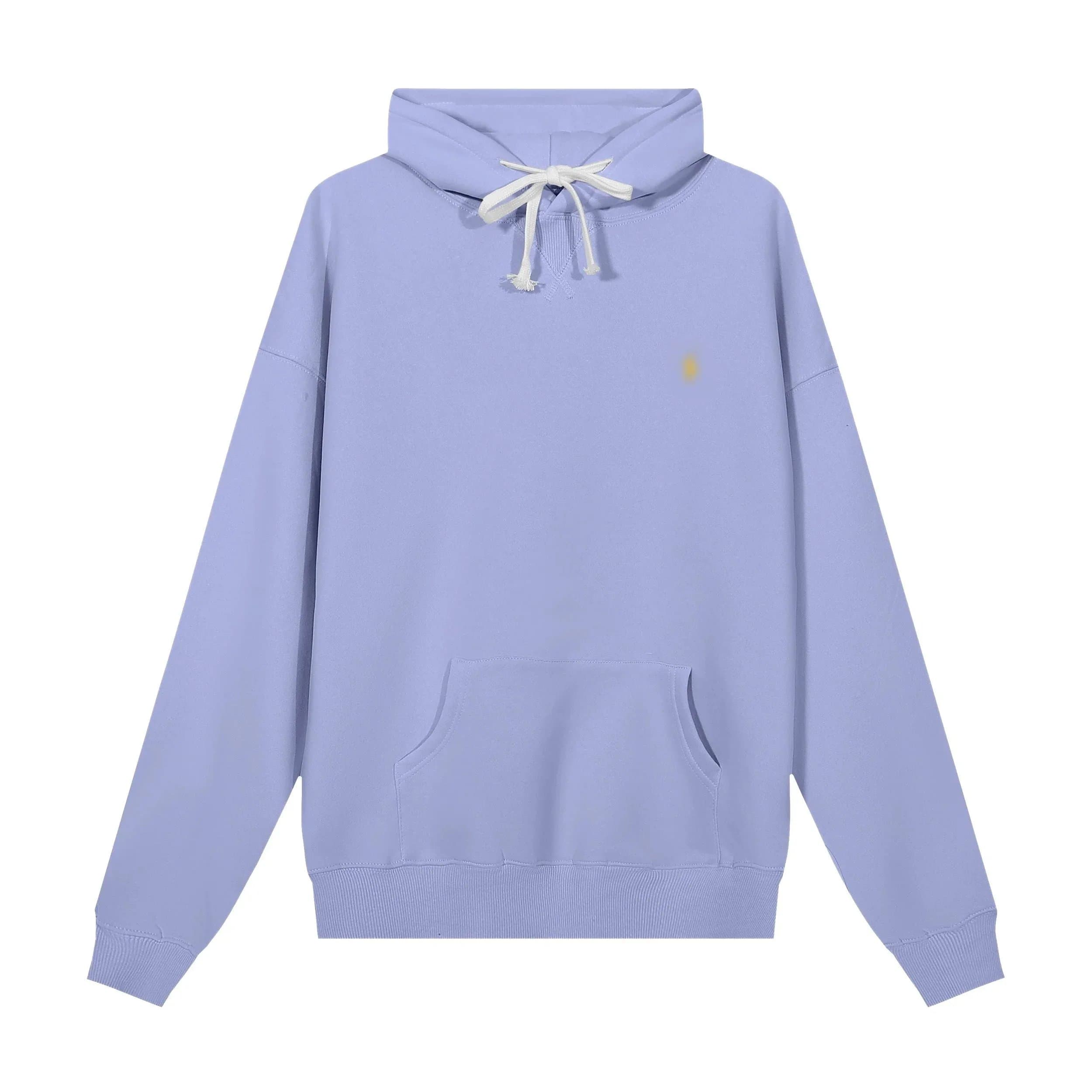 Polo Ralph Lauren Hoodie in Light Purple